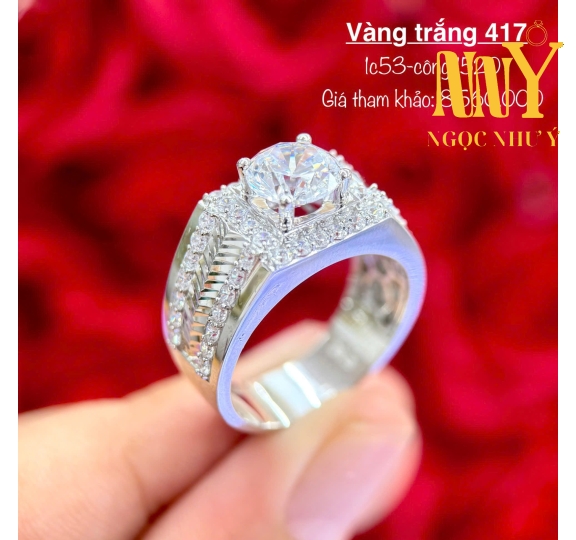 NNYJ-NNA416.009